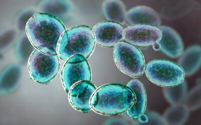 Controlling yeast in processed meats