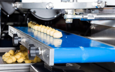 Contamination management for conveyor belts