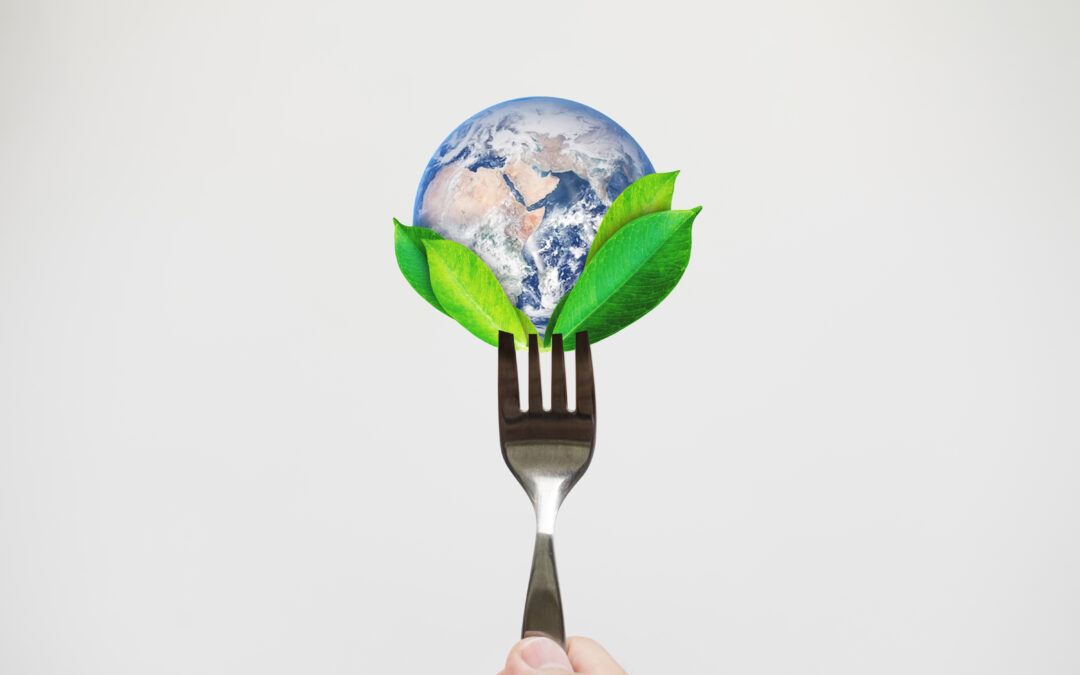 The sustainability trend